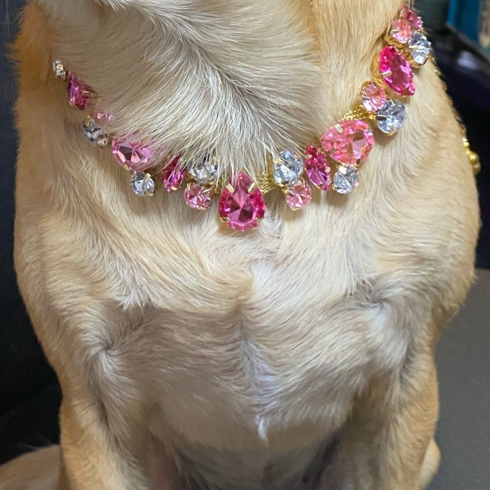 Pink Bling Jewel Dog Fancy Necklace Collar - Picture 4 of 6